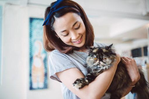 Young lady holding a fluffy cat in her arms joyfully.